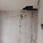 Over Kredit Panorama Kemang